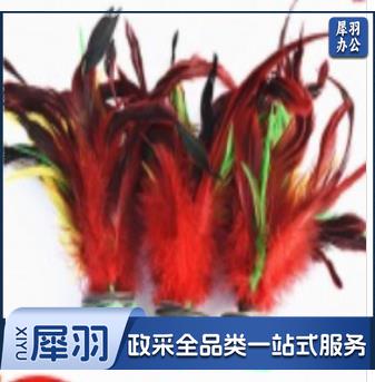 火鸡毛毽子 成人毽子 学生毽子