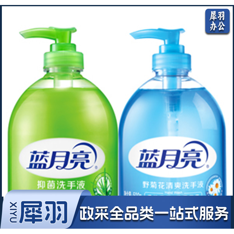 蓝月亮 10000128 抑菌洗手液500g+野菊花洗手液500g 6组/箱