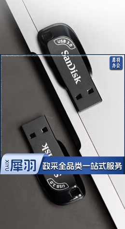 闪迪（SanDisk）256GB USB3.0 U盘 CZ410酷邃 读速100MB/s 小巧便携 密码保护 商务办公学习优选