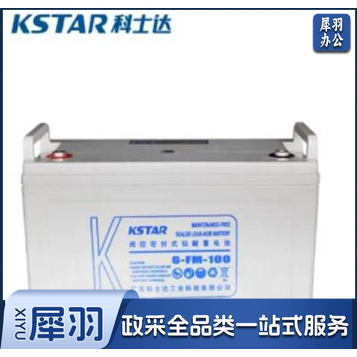 科士达 6-FM-100 12V100AH 铅酸蓄电池