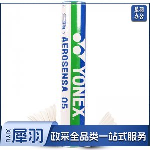 尤尼克斯 AS-05 羽毛球耐打yy训练鸭毛 12只装