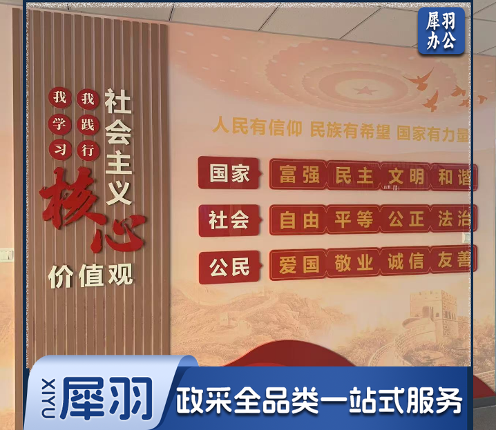 党建文化墙 形象背景墙 木塑板+亚克力可配插槽 可上门量尺(平米)