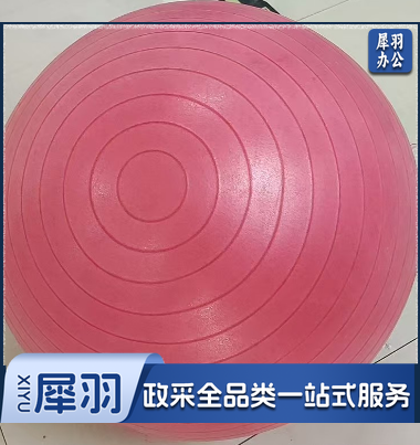 瑜伽球 75cm磨沙瑜伽球 承重200斤