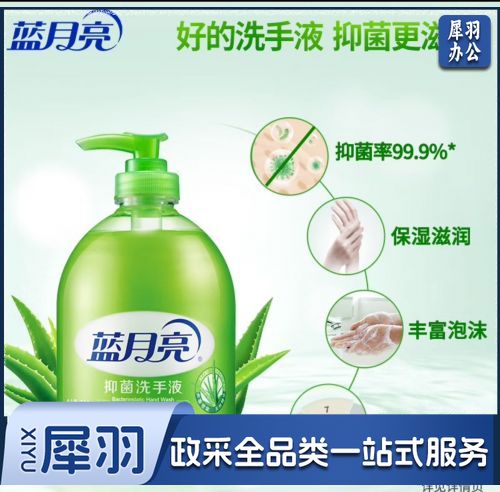 蓝月亮洗手液500ml