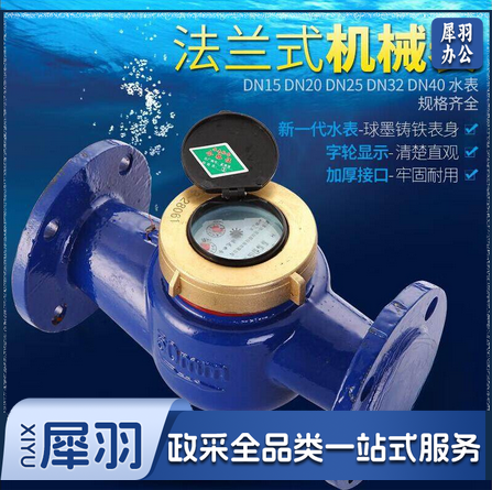 法兰机械水表DN100