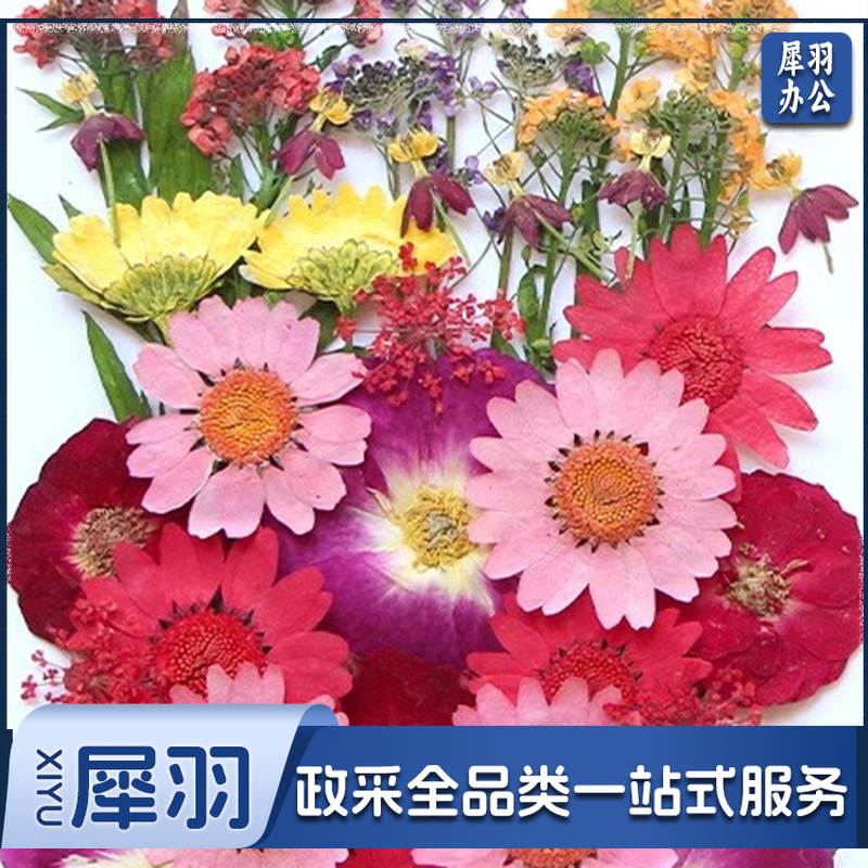 干花花材 圣诞花火