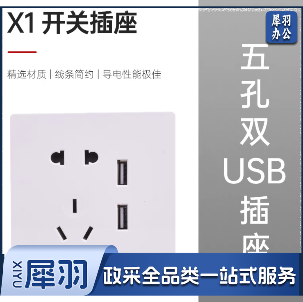 五孔带双USB面板充电插座