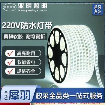 亚明照明 彩色灯带LED变色灯带 单色客厅吊顶220V户外防水七彩软灯条 一米 120灯珠5730/2835 宽10mm双排白光