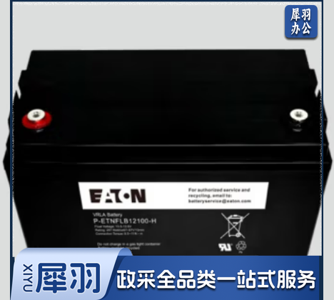 伊顿伊顿阀控密封式蓄电池免维护12V100AH P-ETNFLB12100-H阻燃外壳 P-ETNFLB12100-H