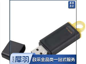 金士顿（Kingston）128GB USB3.2 Gen1 U盘 DTXON   单位：个