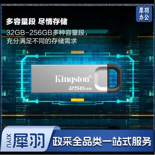 金士顿（Kingston）256GB USB 3.2 Gen 1 U盘 DTKN 大容量U盘/闪存  优盘 金属外壳 读速200MB/s 学习办公投标电脑通用