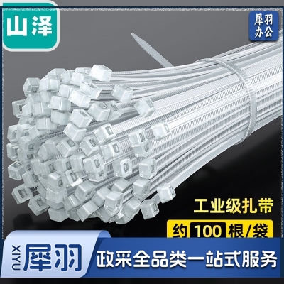 山泽 SAMZHE ZD-15 自锁式尼龙扎带 大号 3.6*250mm 阻燃理线带 捆扎带 束线扎线绑带 白色 100根/包