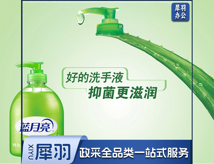 蓝月亮 洗手液500g