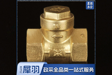 铜单向阀 50