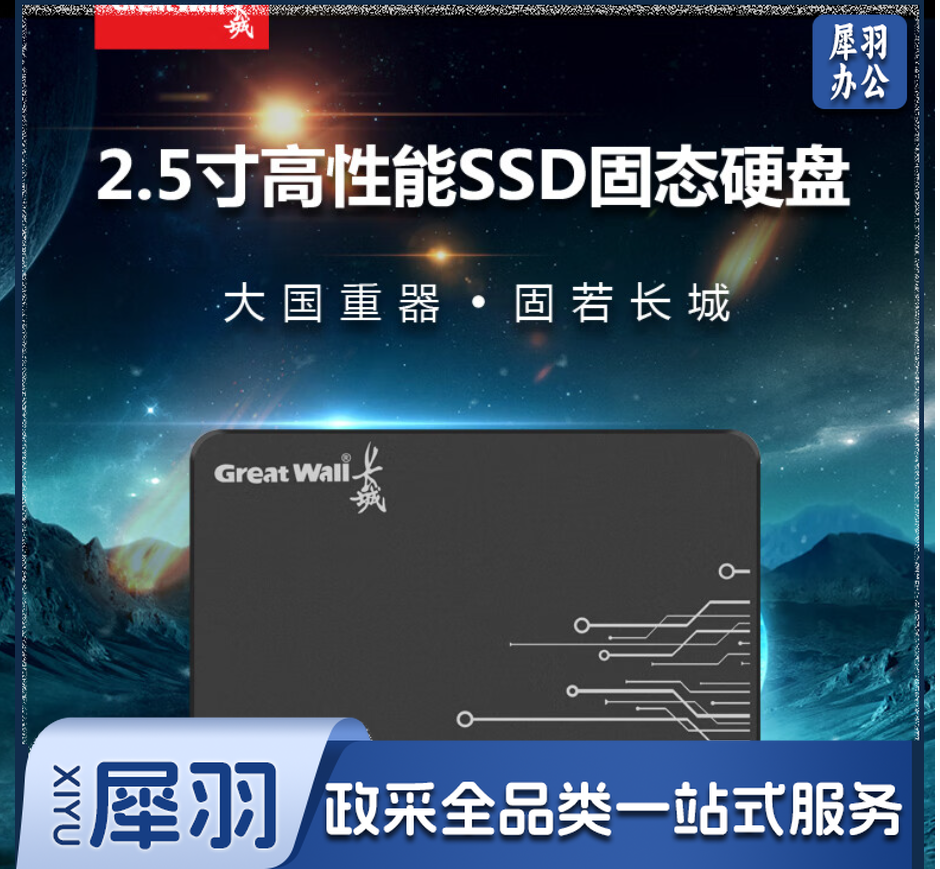 长城（Great Wall）256GB SSD固态硬盘 SATA3.0接口 长江存储晶圆 国产TLC颗粒高速稳定读写