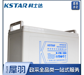 科士达6-FM-65AH  UPS不间断电源12V65AH铅酸蓄电池