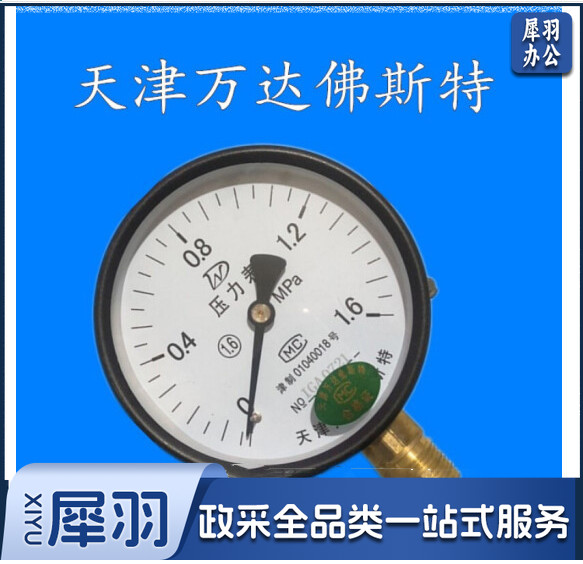 天津万达佛斯特压力表150