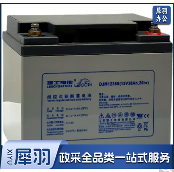 理士12V电池DJWDJM系列UPSEPS铅酸免维护船舶铁路直流屏基站 DJM1238S(12V38AH)