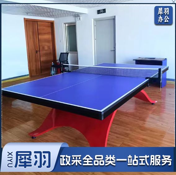 XY-pt03彩虹乒乓球台比赛用乒乓球案子