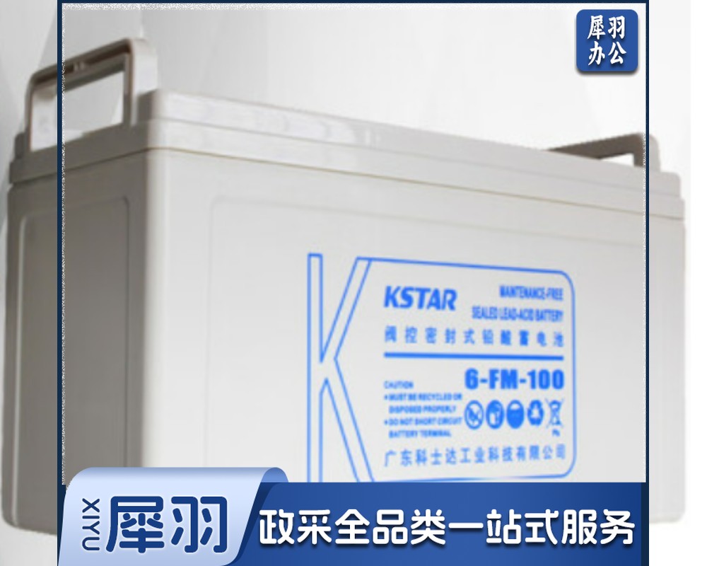 科士达 6-FM-100 12V100AH 铅酸蓄电池