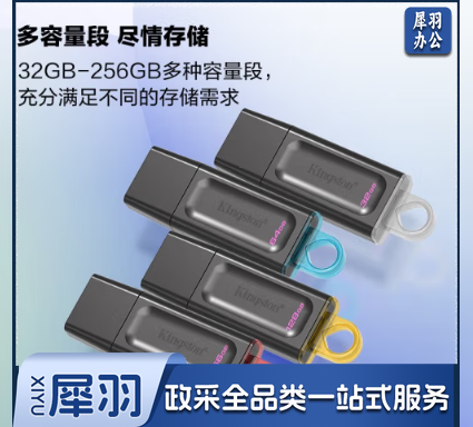 U盘 金士顿256GB USB3.2 Gen 1 U盘  大容量U盘 写入速度10Mb/s,读取速度60Mb/s