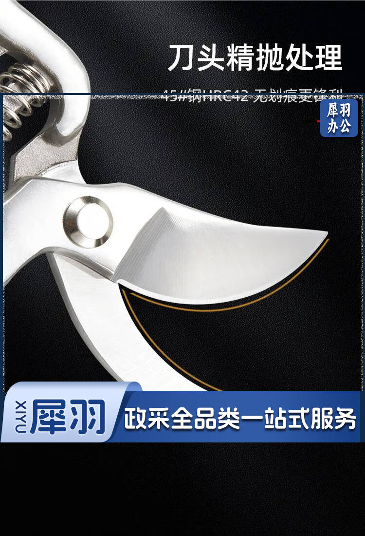 修枝剪刀果树花剪园艺树枝园林工具双档棘轮剪 【新品】1800：8寸家用园艺剪