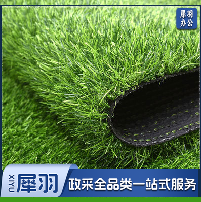 仿真草坪 塑料假草皮户外垫子 人造绿色地毯   宽1米长10米 高2.5厘米