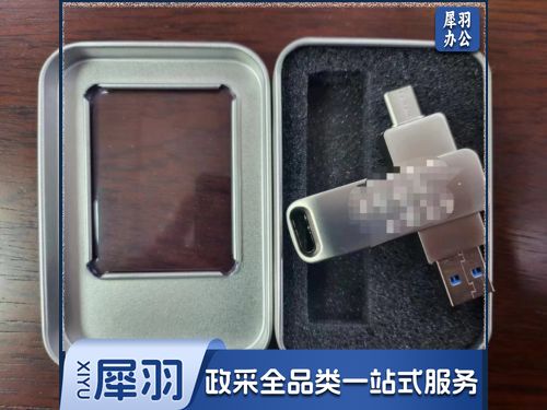 U盘 256G两用U盘 USB3.0接口 写入速度8Mb/S，读取速度40Mb/S