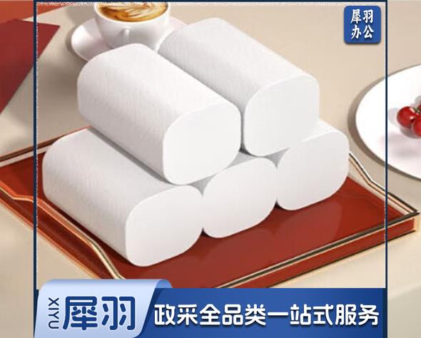 卷纸 10卷1提（CX202308171035012813）