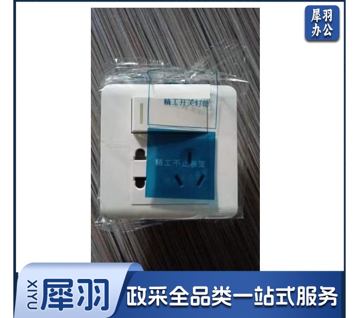 一开单控五孔10A（明装/暗装可选）