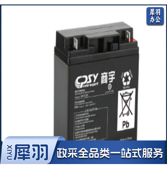 商宇（CPSY）UPS不间断电源电池GW12100