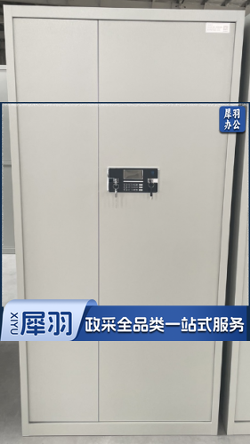 材料柜  指纹+密码涉密载体 办公室材料柜