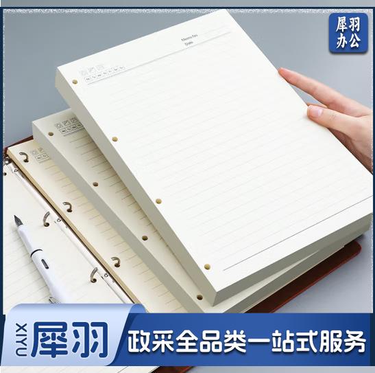 活页本替换内芯（80页/包）-