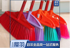 扫帚 木柄塑料扫把单个家用学校扫帚硬毛环卫宿舍工车间厂普通扫帚硬毛笤帚批发20把起售