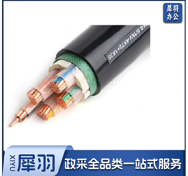 电缆（CX202403131145151251）