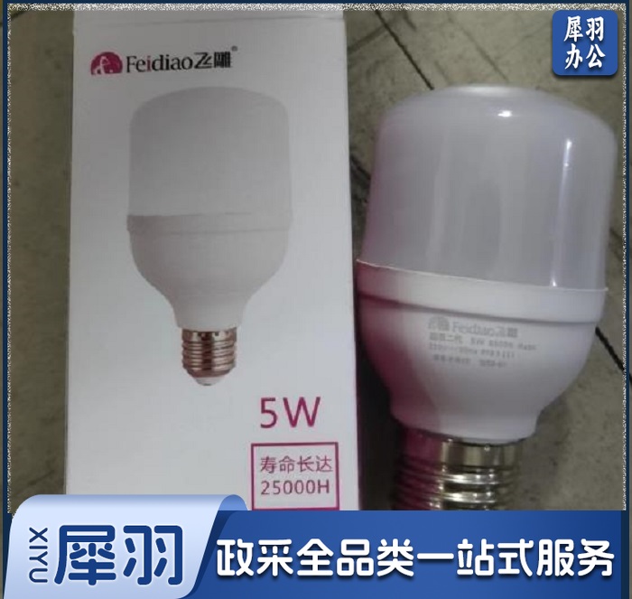 飞雕E27大螺丝口LED球泡5W-