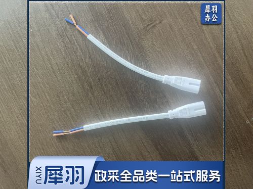 T5一体化支架两插连接线