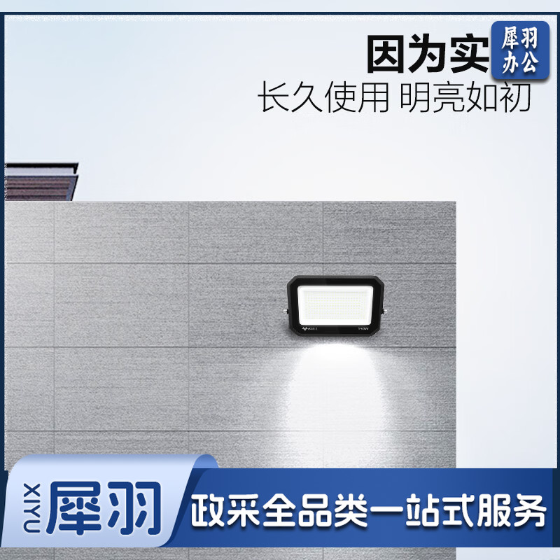 公牛（BULL）LED投光灯庭院灯工地灯园林照明露营灯 IP65防水100W-6500K白光