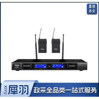 湖山DS-U310A一拖二无线领夹麦克