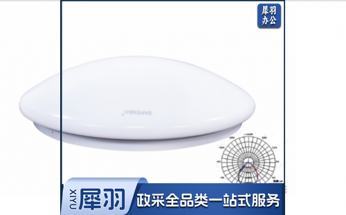 智能感应吸顶灯（全亮15W/微亮3W/全熄灭底盘直径300mm）