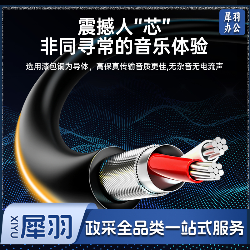 山泽（SAMZHE） YP-130 音频线 3.5mm公对公手机汽车连接线 3米黑色-