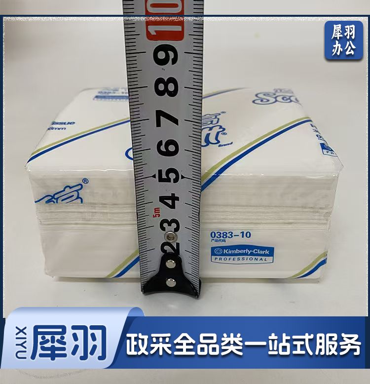 适高 抽纸纸巾 ，每包300张，一箱60包 货号：0383 单层抽取式卫生纸 300张 195mmx106mm 0383-10