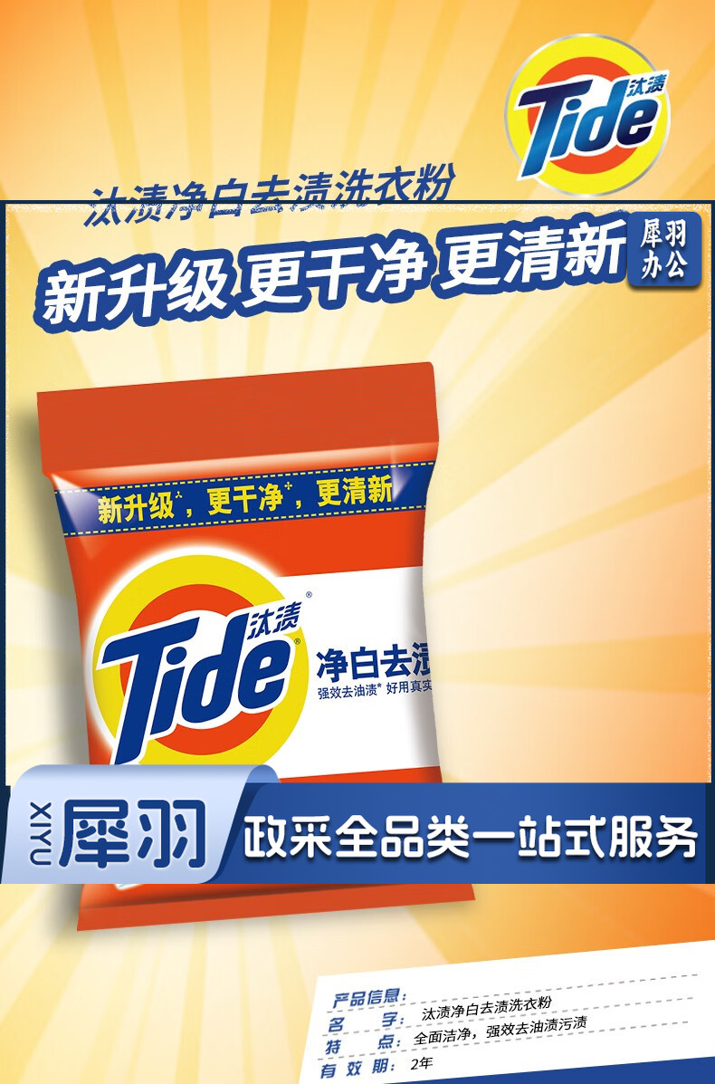 汰渍 洗衣粉(小袋) 508克/