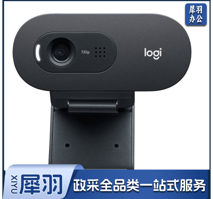罗技(Logitech)C505e高清摄像头 家用摄像头 电脑摄像头 台式机摄像头 网课教学 网络课程会议摄像头