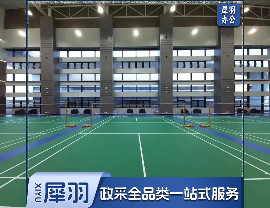 威利达 羽毛球划线 含施工 1套