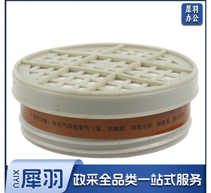 Honeywell霍尼韦尔G100CN一对防有机气体