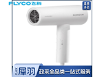 飞科 FLYCO 电吹风机便携1800W大功率负离子吹风筒 FH6276 (白色)