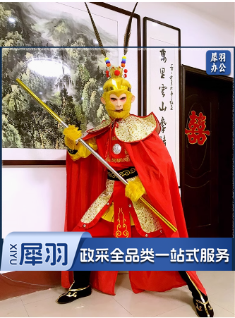 孙悟空演出服装全套成人衣服西游记齐天大圣美猴王舞台表演服道具