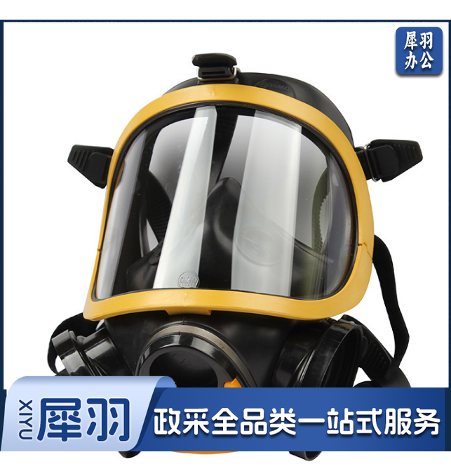 Honeywell霍尼韦尔1710641 Cosmo黄EPDM双滤盒全面罩防毒全面具