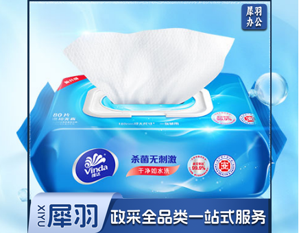 维达（Vinda）湿巾 杀菌湿巾纸 清洁无刺激卫生湿巾 80片/包装